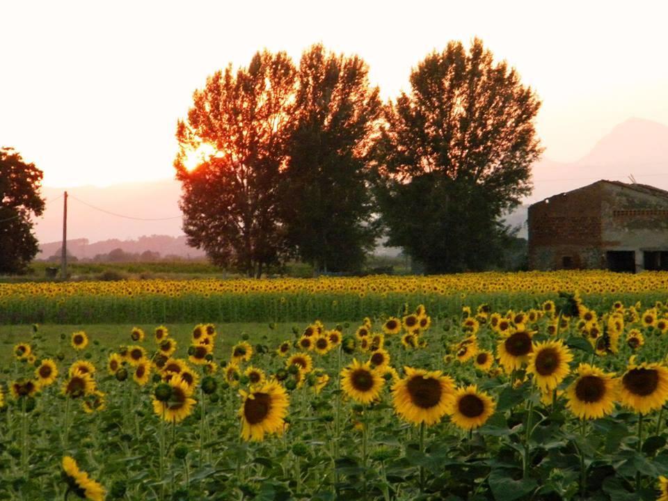 Agriturismo Settepassi Tuscany Ponte Buggianese Extérieur photo